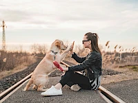 Webseite für Hundeschule erstellen – in 5 Tagen online Webseite für Hundeschule erstellen – in 5 Tagen online