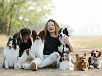 Webseite für Hundebetreuung mit Gassi-Service erstellen Webseite für Hundebetreuung mit Gassi-Service erstellen